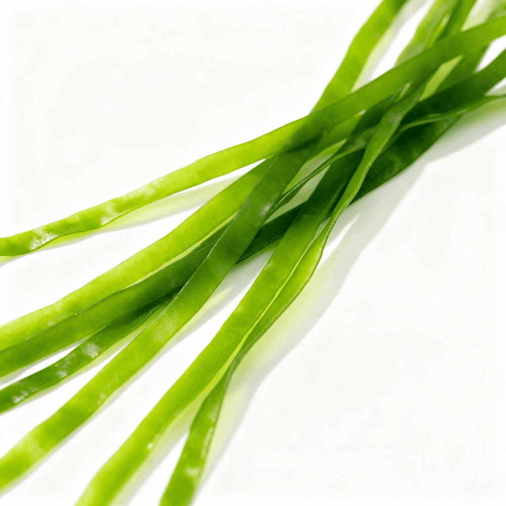 voedzaam algenextract dat de huid helpt beschermen en in balans houdt