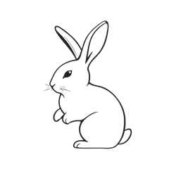 Skincare niet getest op dieren