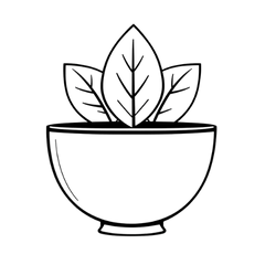 Skincare die 100% bestaat uit natuurliijke ingredienten 