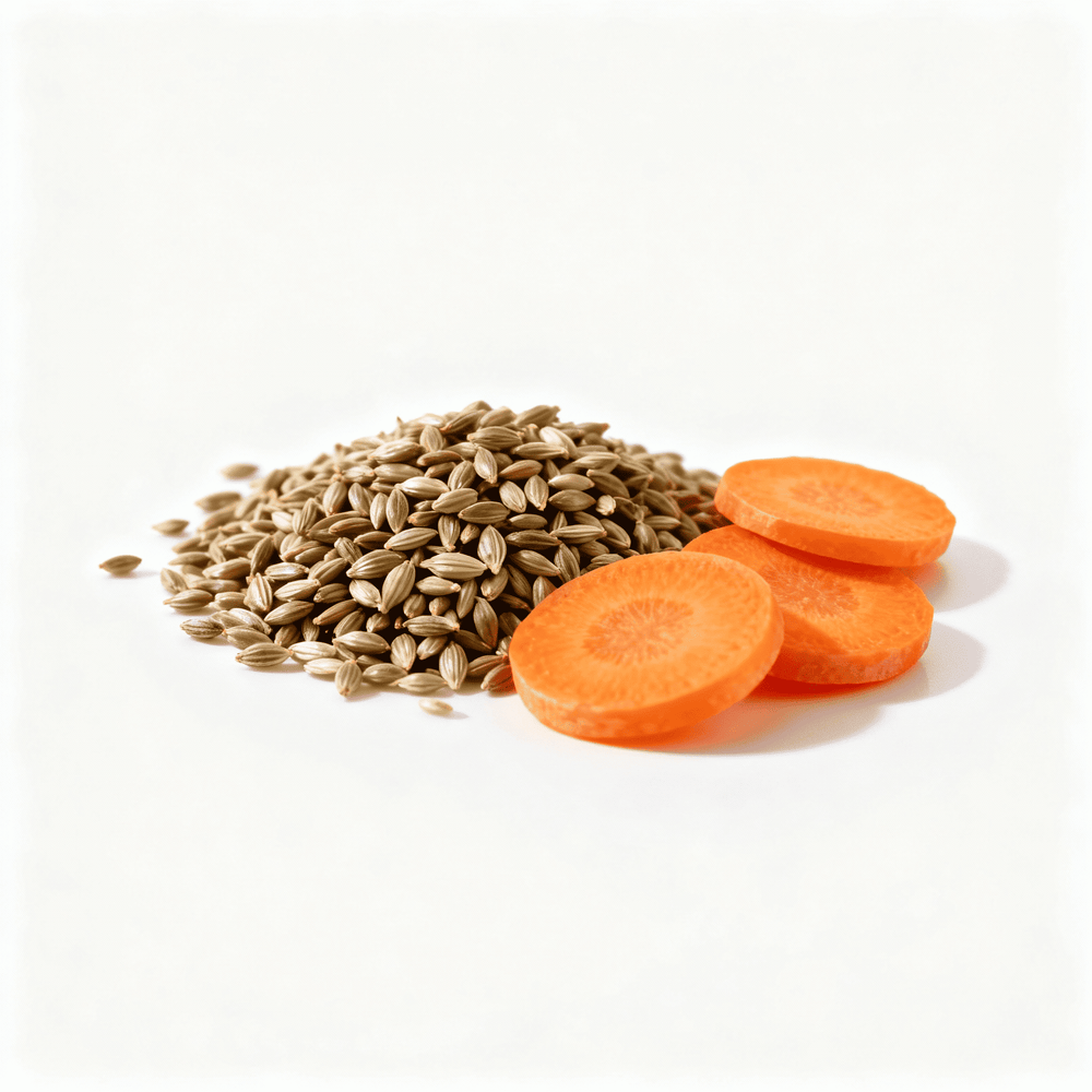 wortelzaadolie voedend ingrediënt skincare